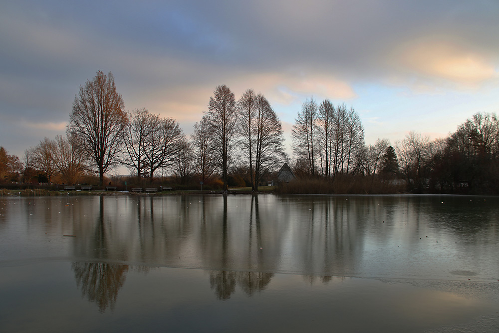 Spiegelung der Bäume am Weiher