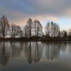 Spiegelung der Bäume am Weiher