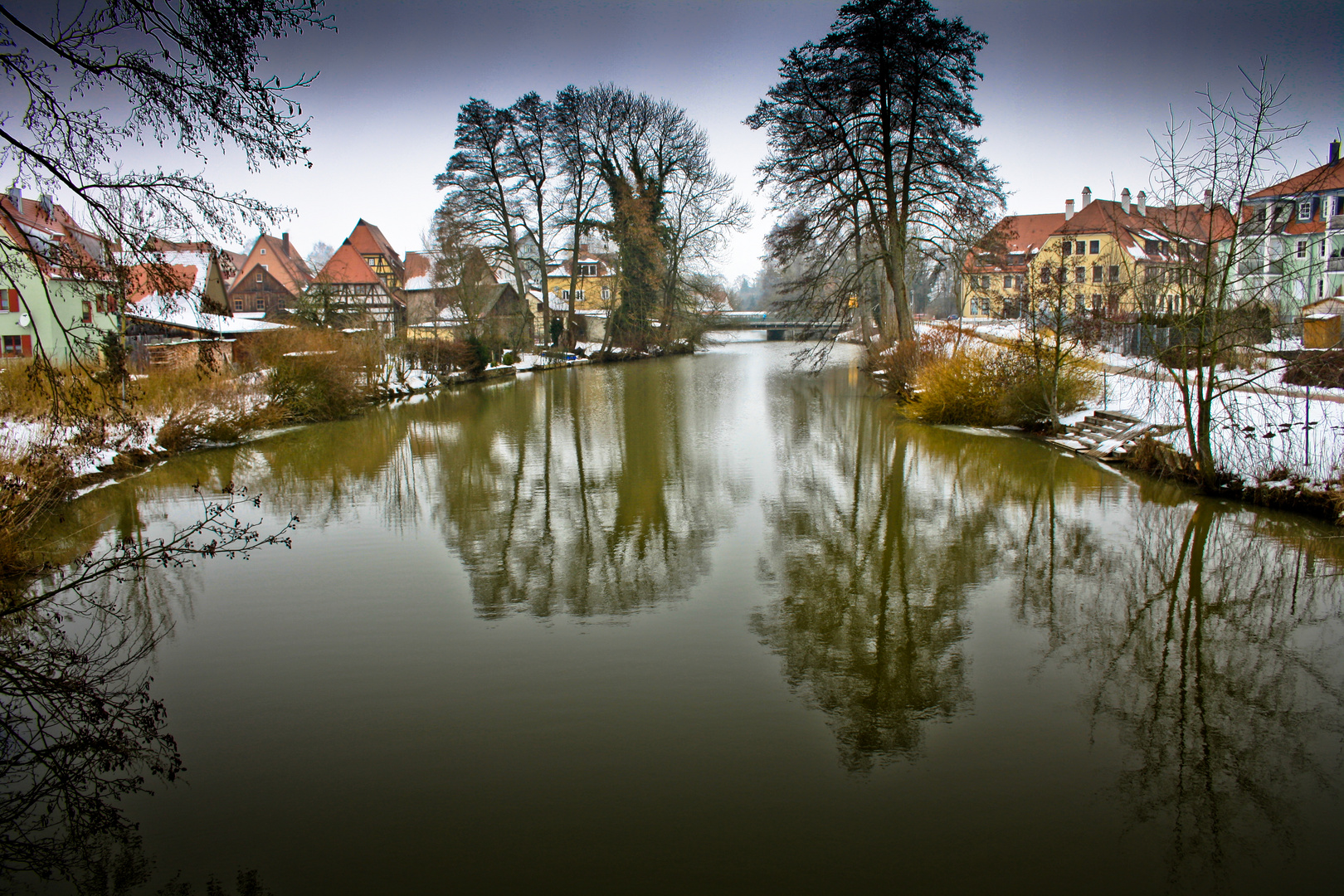 Spiegelung der Bäume