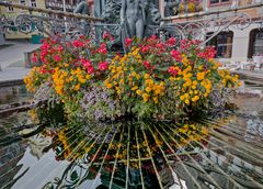 Spiegelung der Blumen im Brunnen