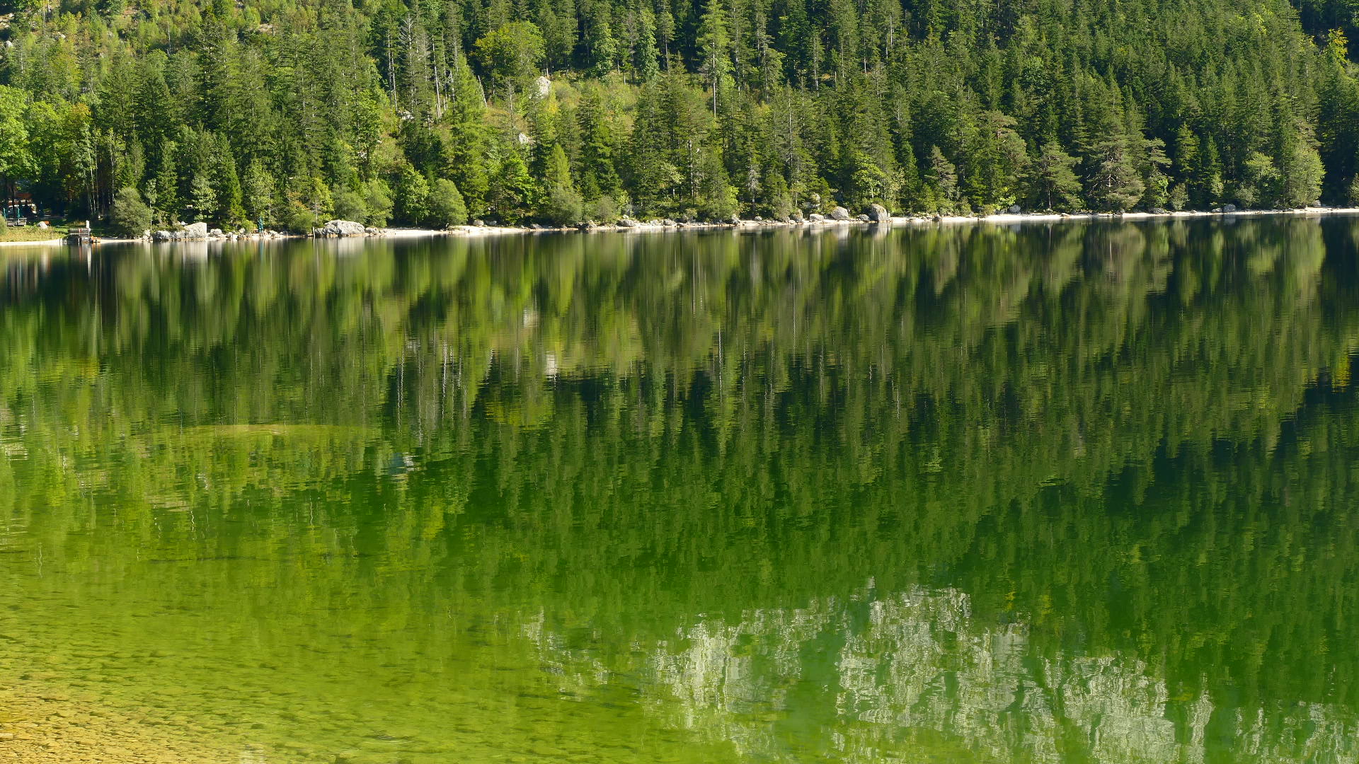 Spiegelung der Felswände und des Waldes