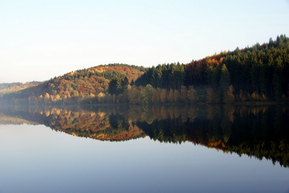 Spiegelung der Natur