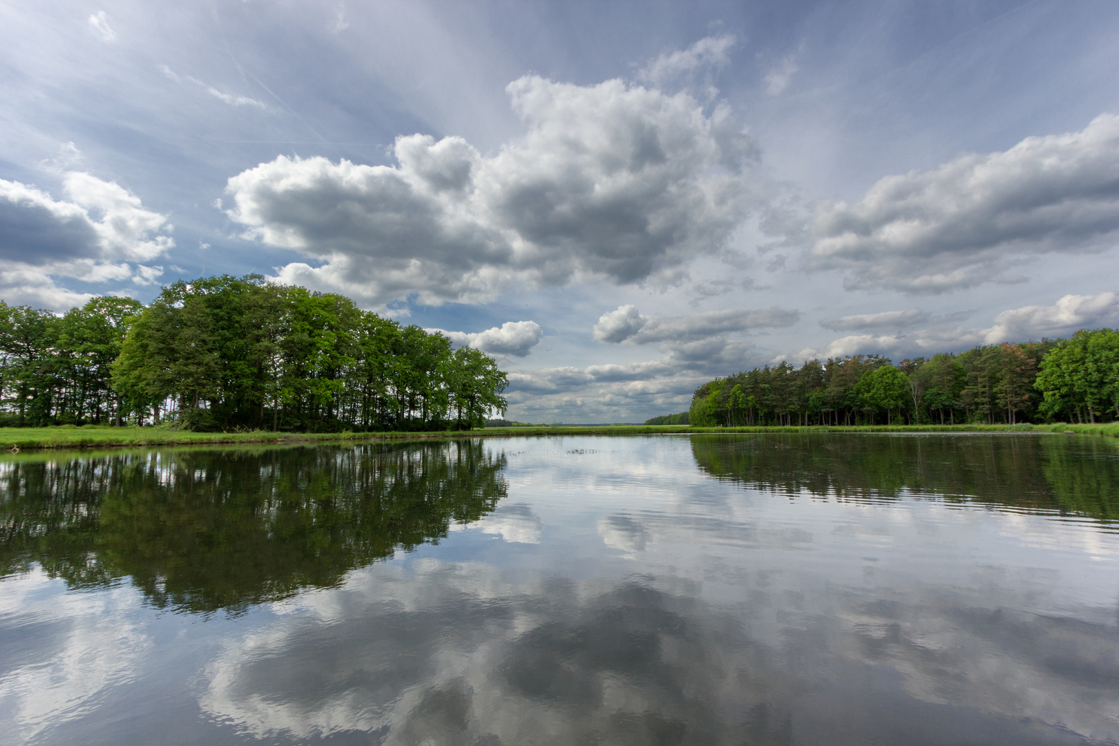 Spiegelung der Natur