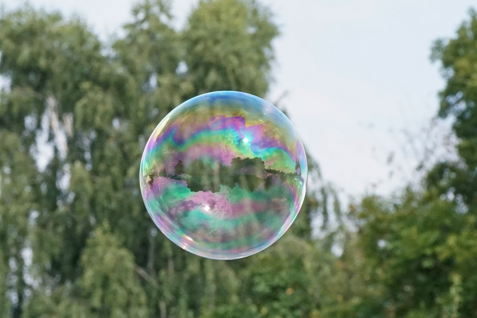 Spiegelung der Teichlandschaft in der Seifenblase