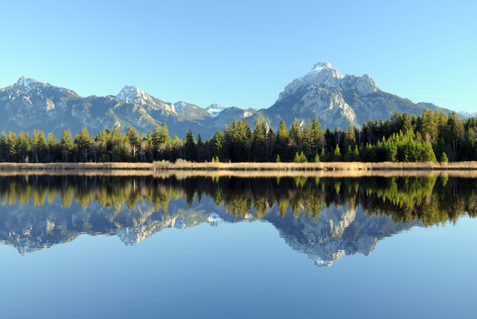 Spiegelung des Säuling im Hopfensee (Ostallgäu)