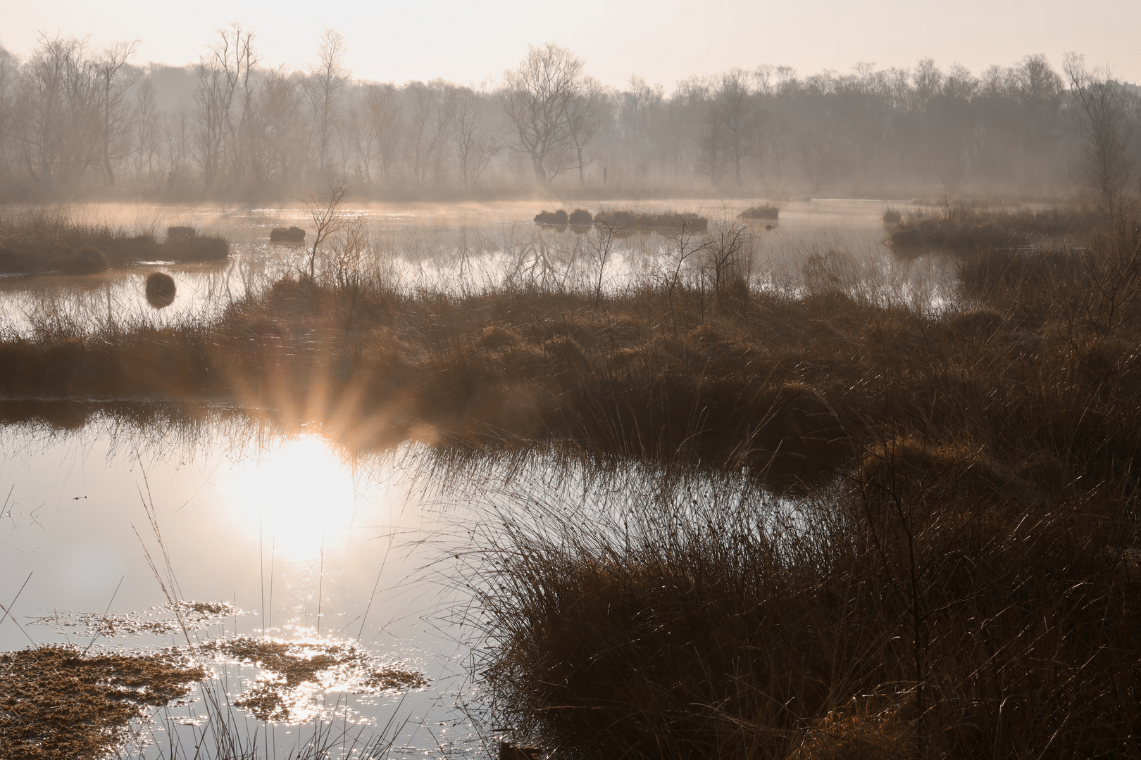 Spiegelung des Sonnenaufgangs am Moor-See