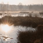 Spiegelung des Sonnenaufgangs am Moor-See