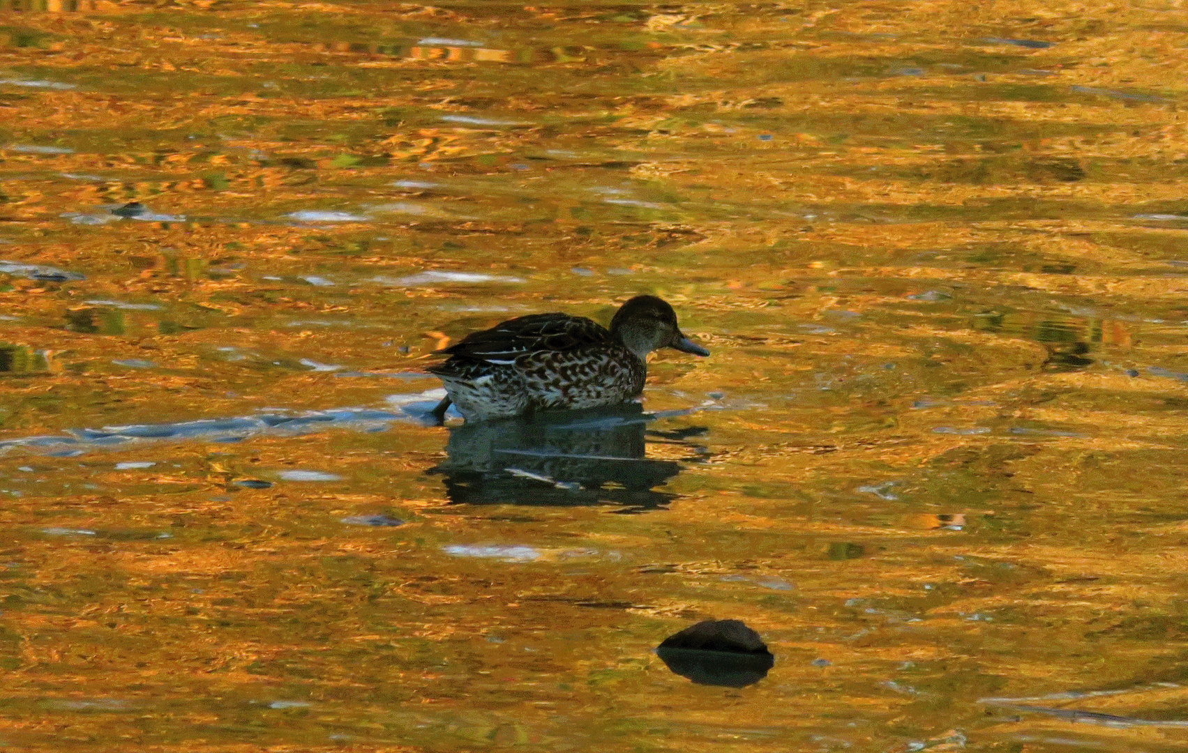  Spiegelung 