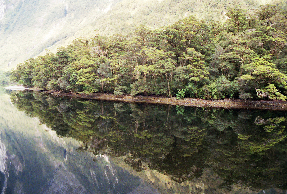 Spiegelung - Doubtful Sound / Neuseeland