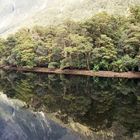 Spiegelung - Doubtful Sound / Neuseeland