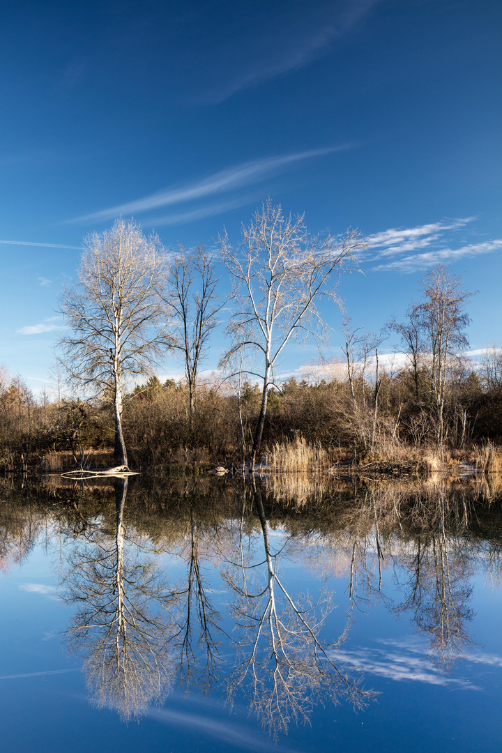 Spiegelung