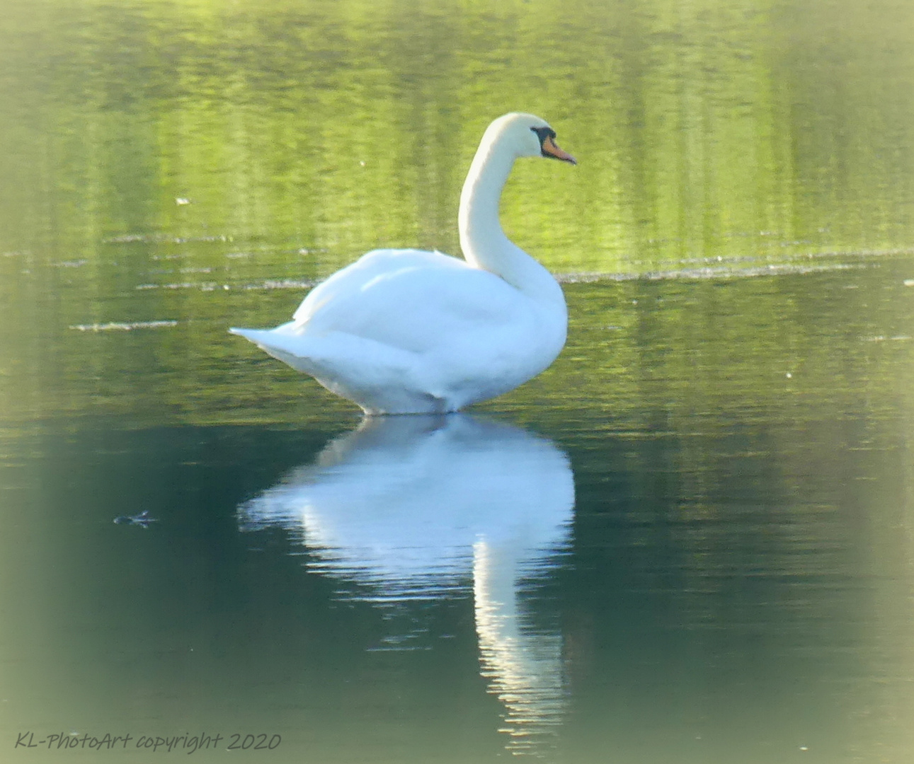 Spiegelung