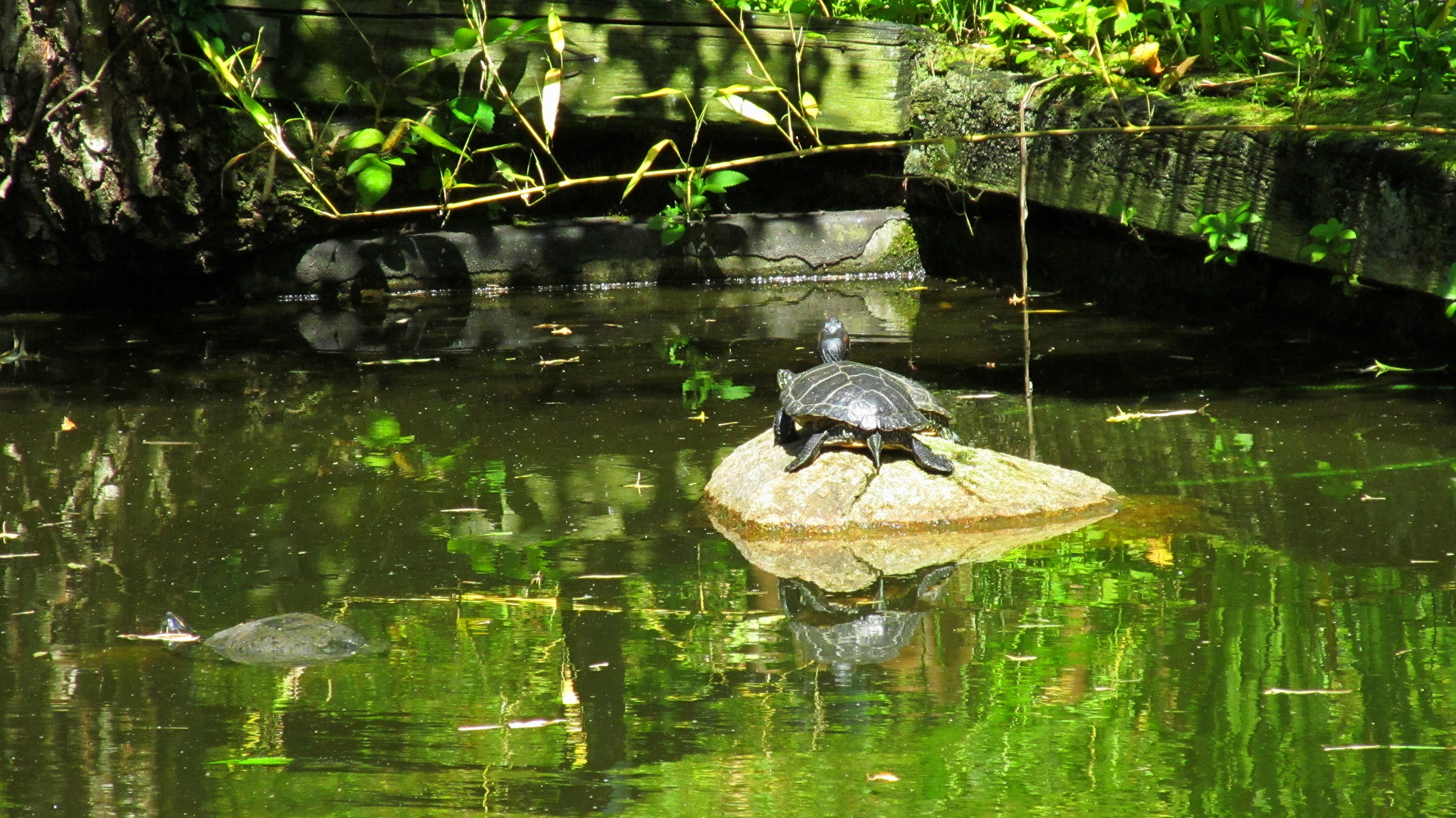 Spiegelung 