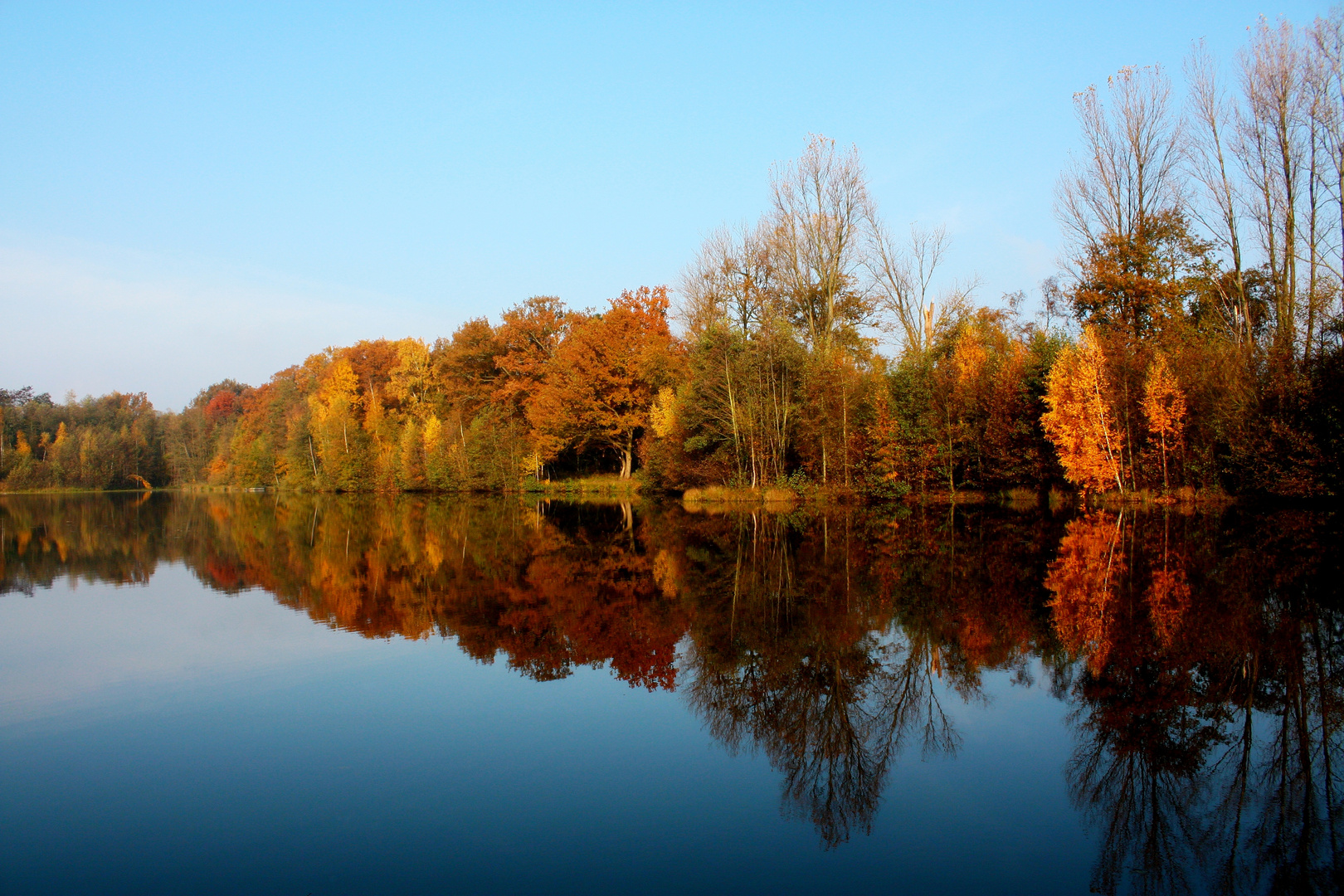 Spiegelung