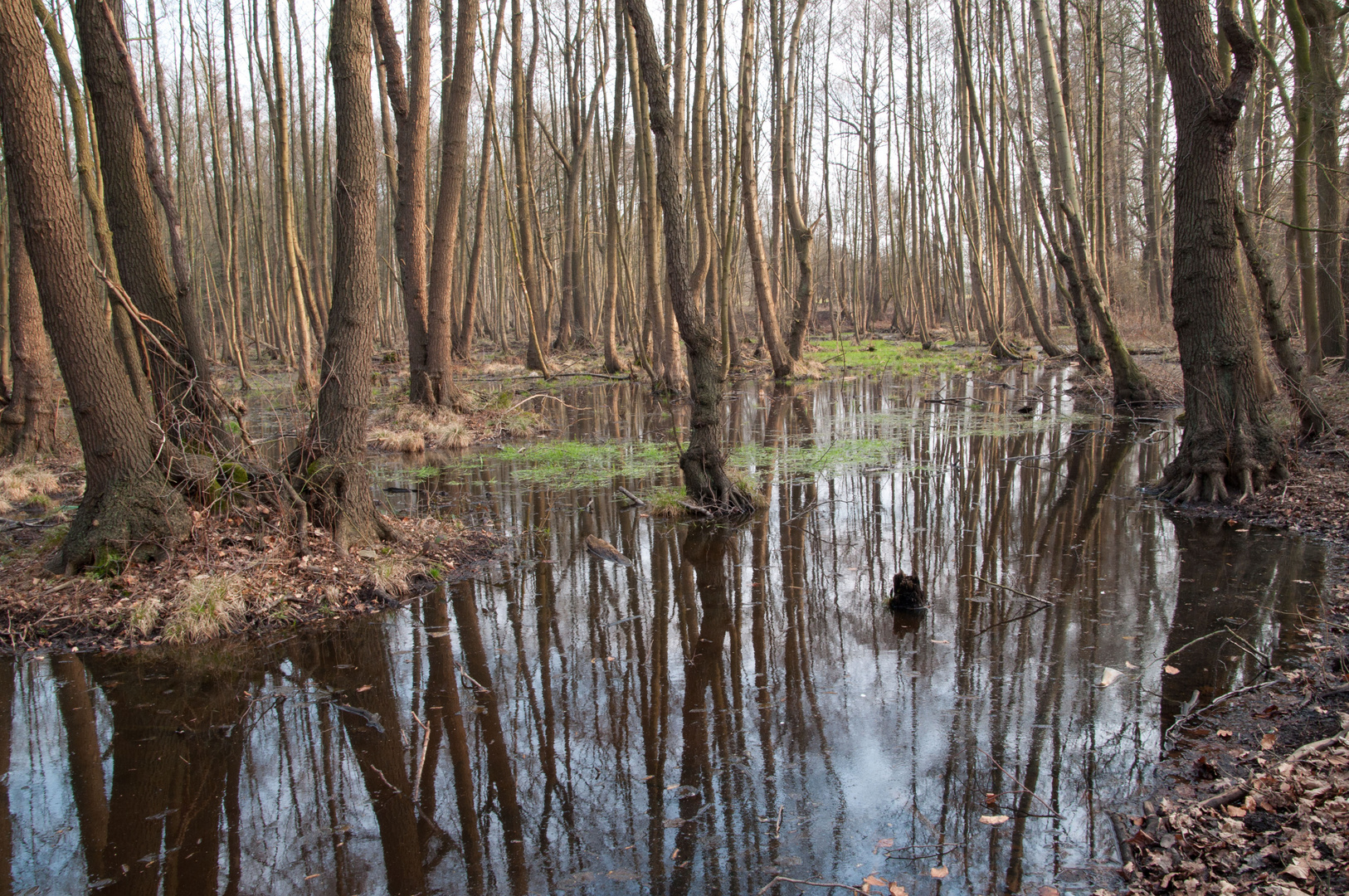 Spiegelung