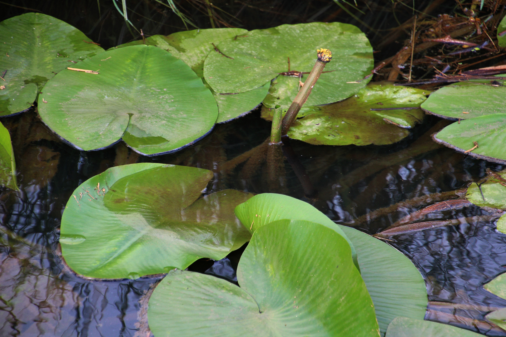  Spiegelung