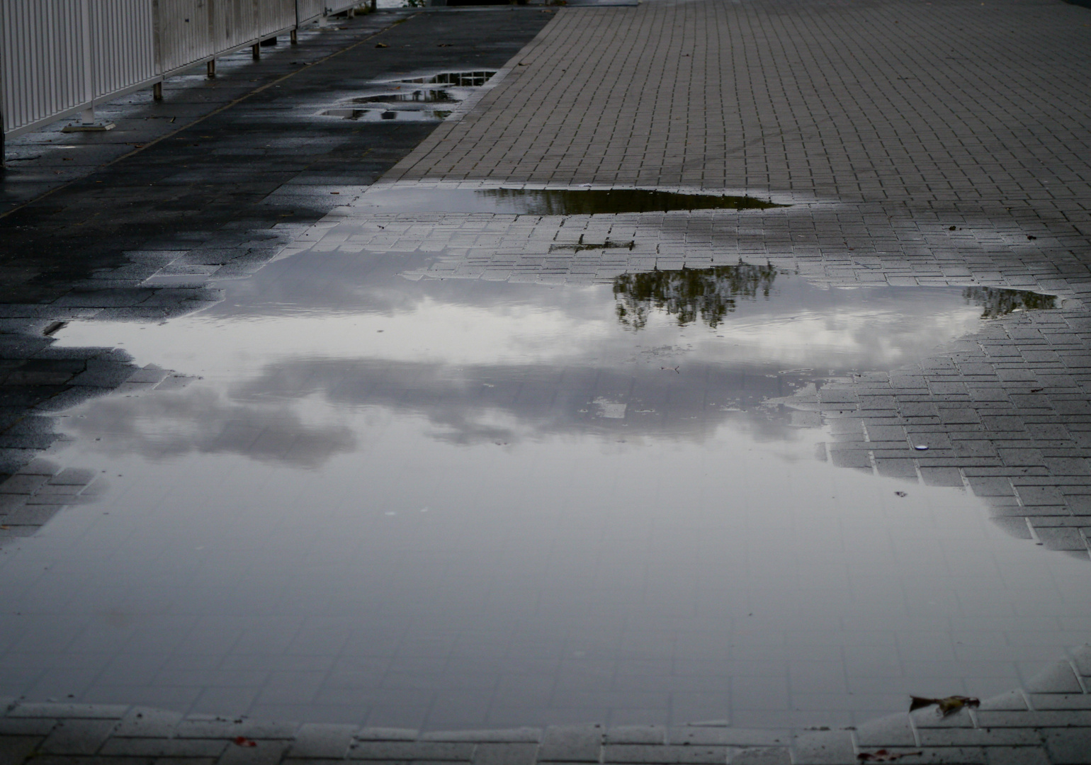 Spiegelung - Eine Pfütze auf der Rheinpromenade