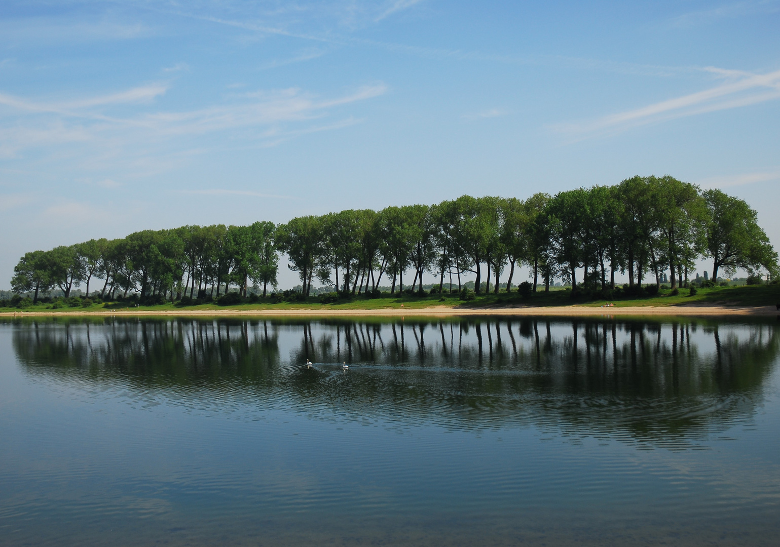 Spiegelung einer Baumreihe im See