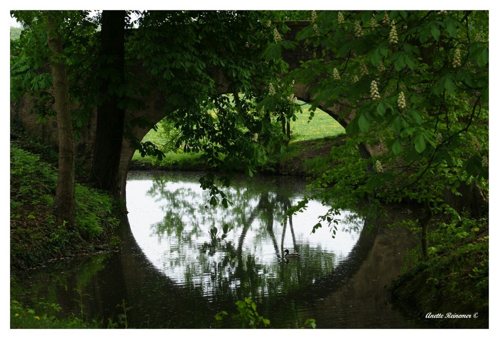 Spiegelung einer Brücke in Wilhelmsbad