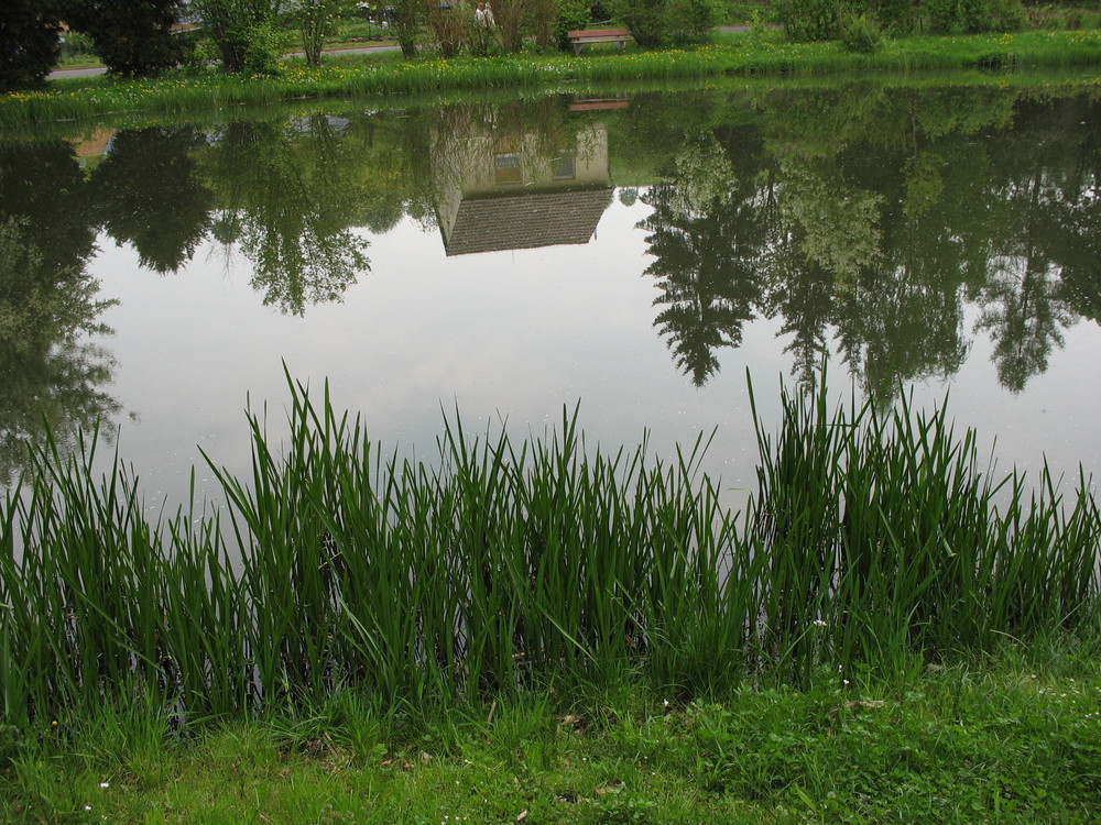 Spiegelung einer Landschaft