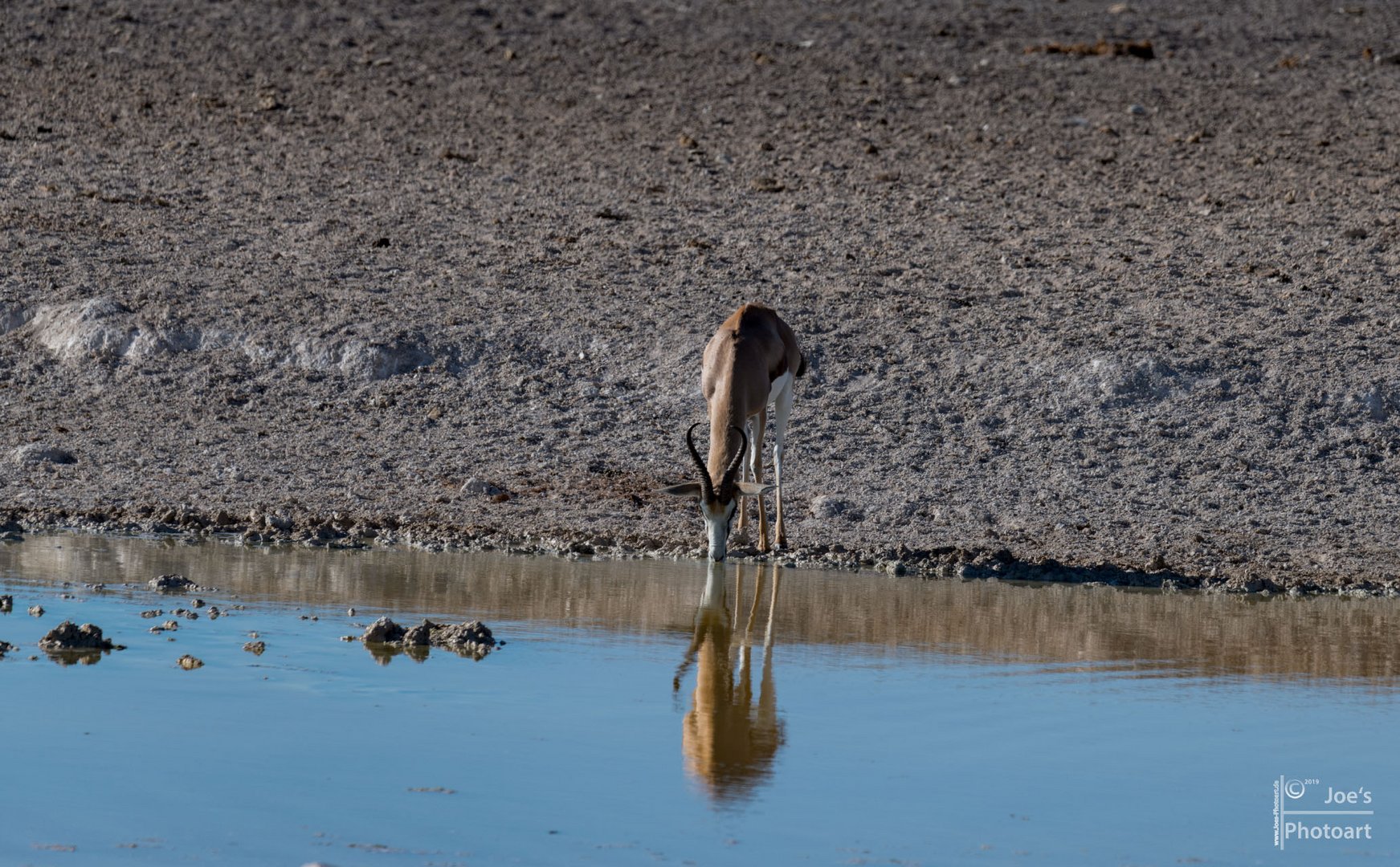 Spiegelung