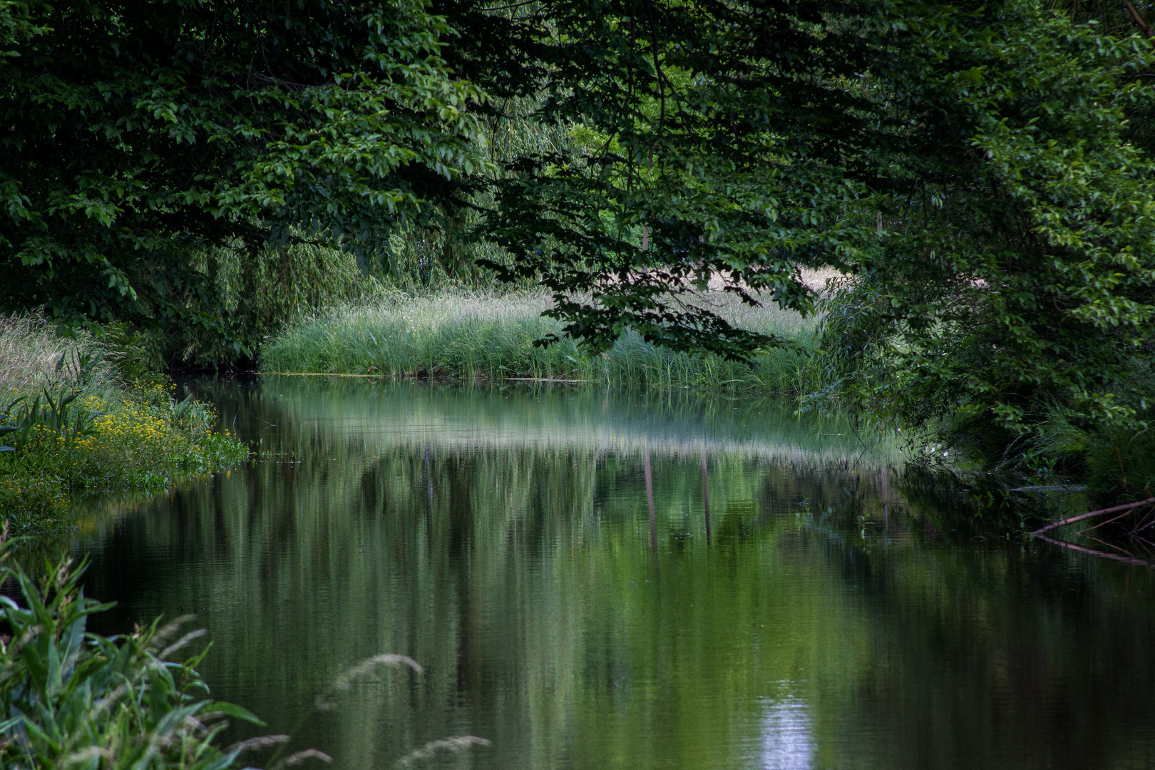 Spiegelung für den König 