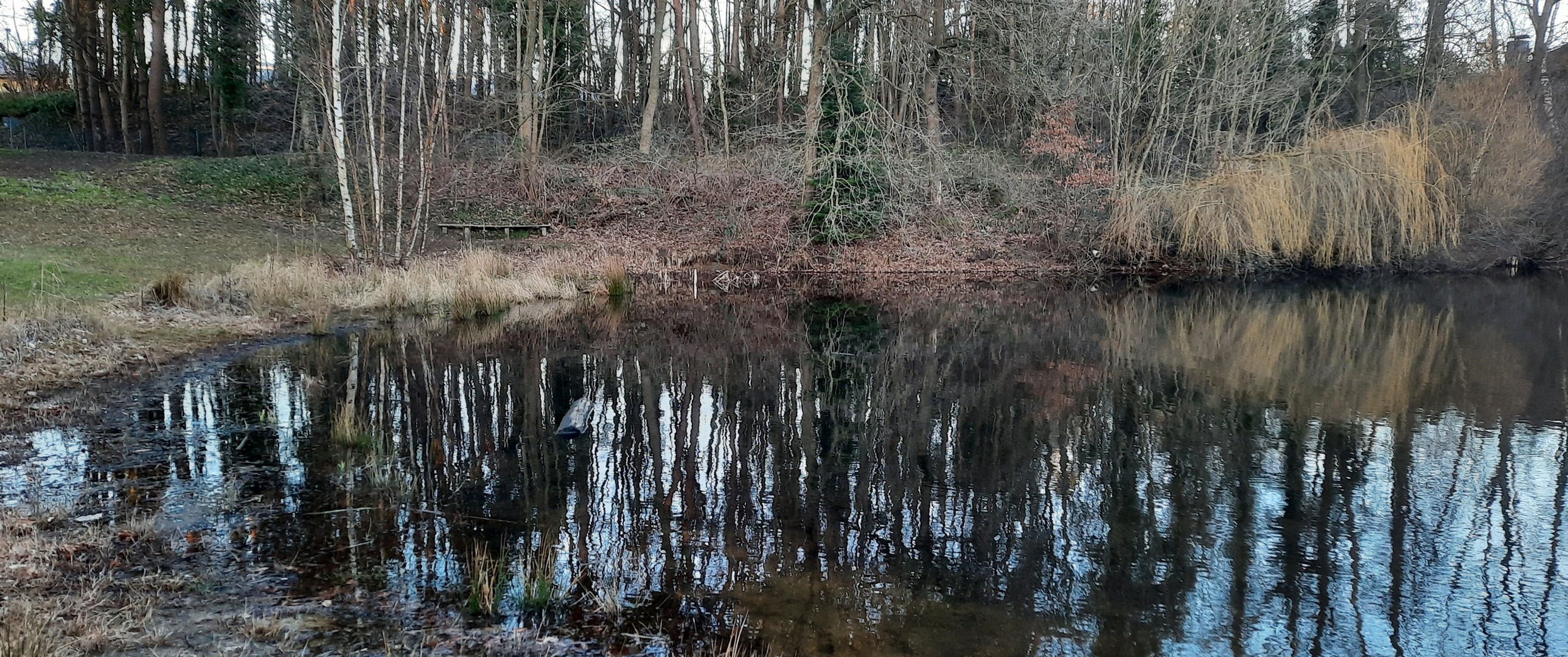 Spiegelung gestern ...