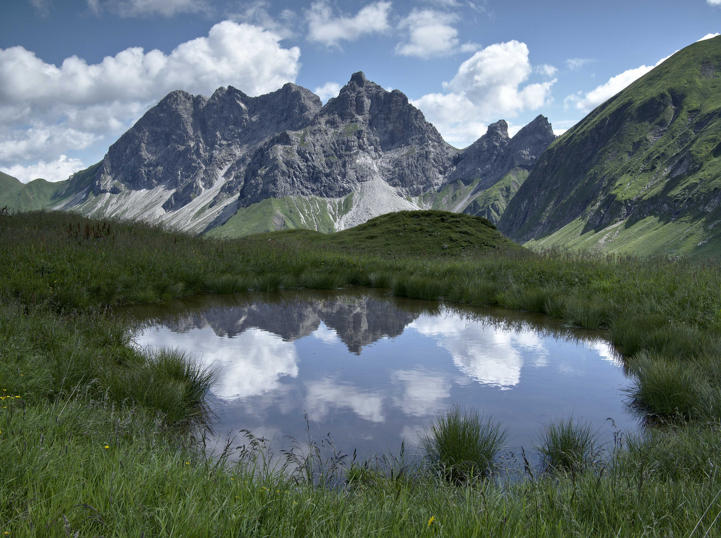 Spiegelung Großer Wilder