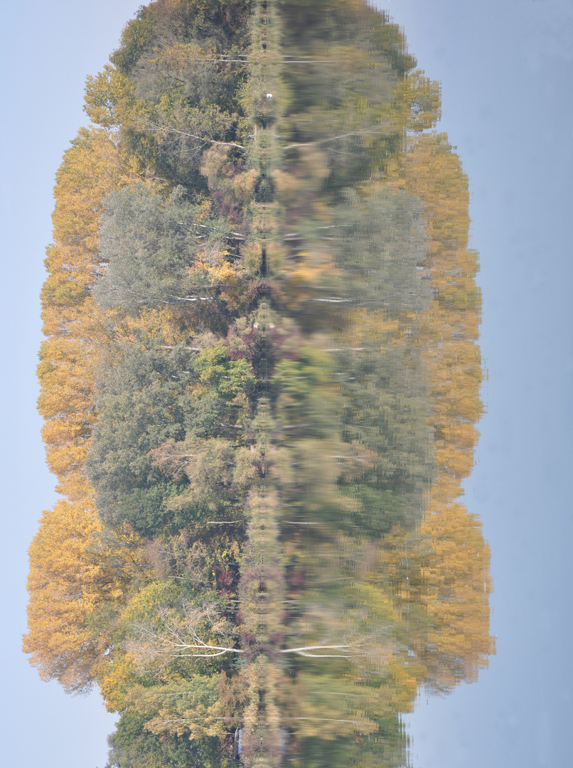 Spiegelung Herbstbäume gedreht