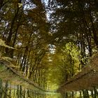 Spiegelung herbstlicher Bäume in den Gräften im Münsterland