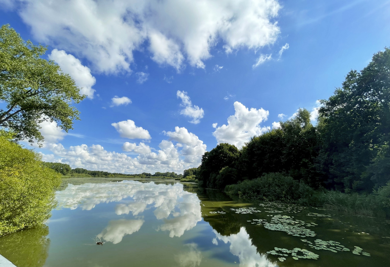 Spiegelung Herrenteich Reinfeld