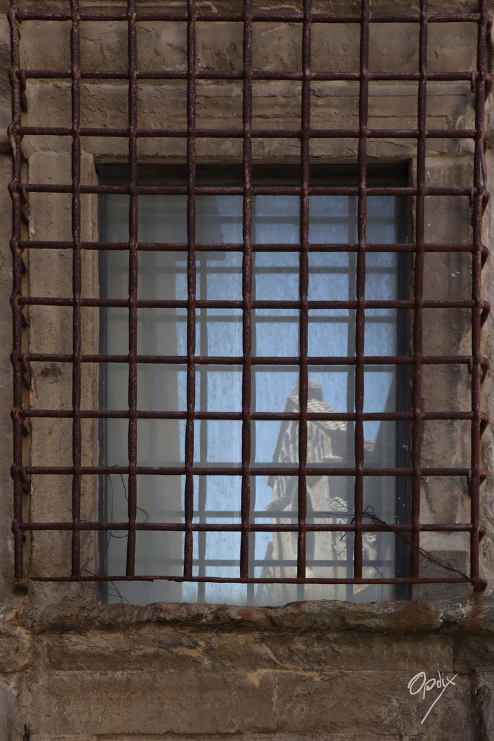 Spiegelung hinter Gittern - Volterra