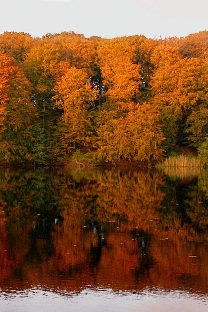 Spiegelung hoch