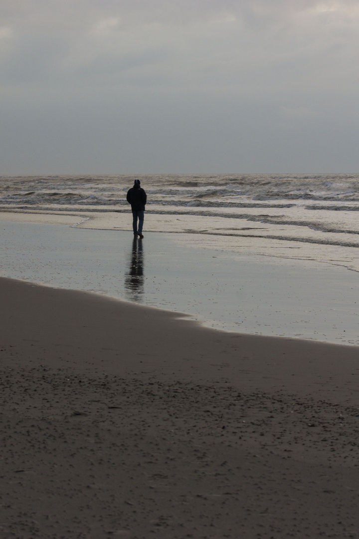 Spiegelung im Abendlicht