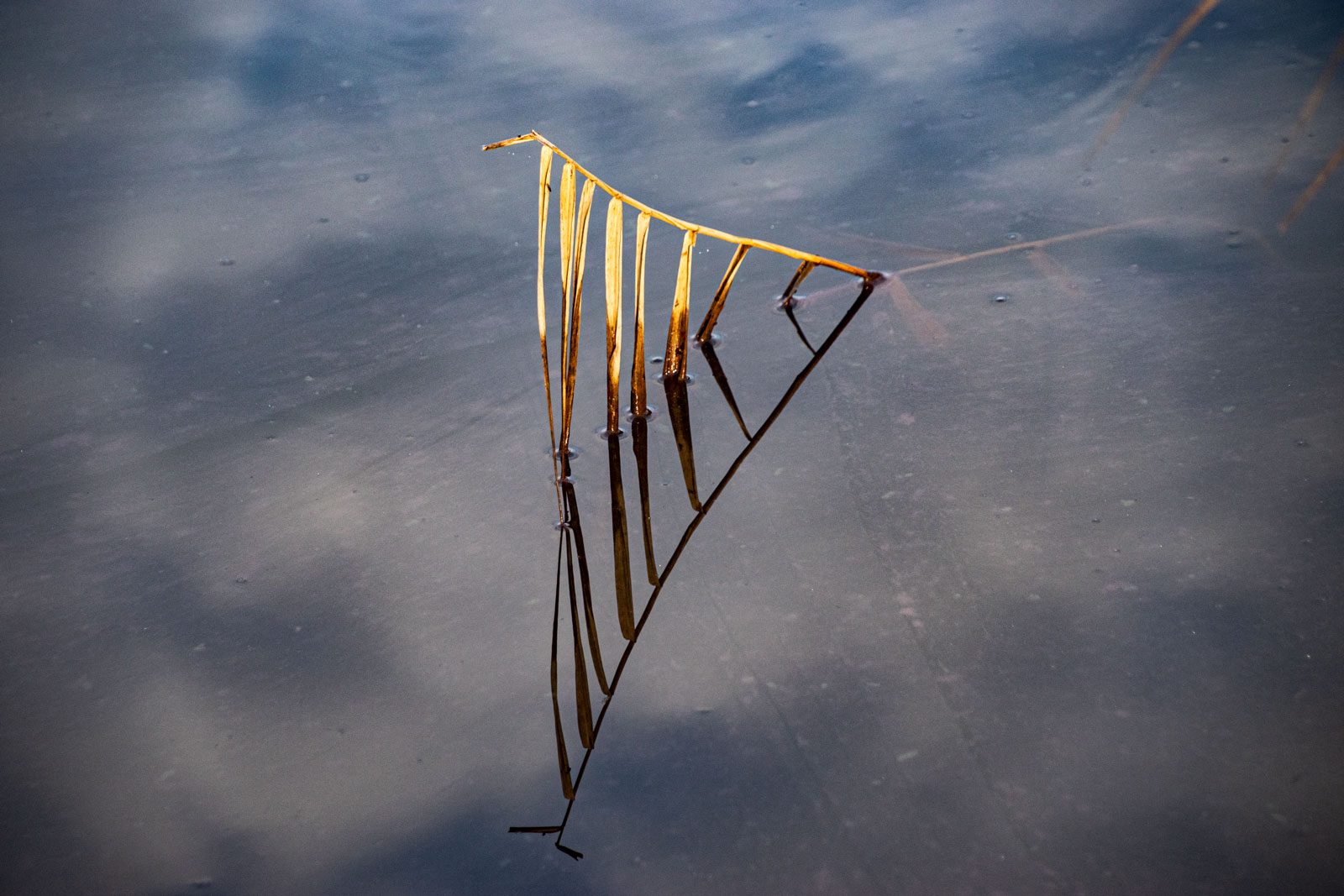 Spiegelung im Aeschisee