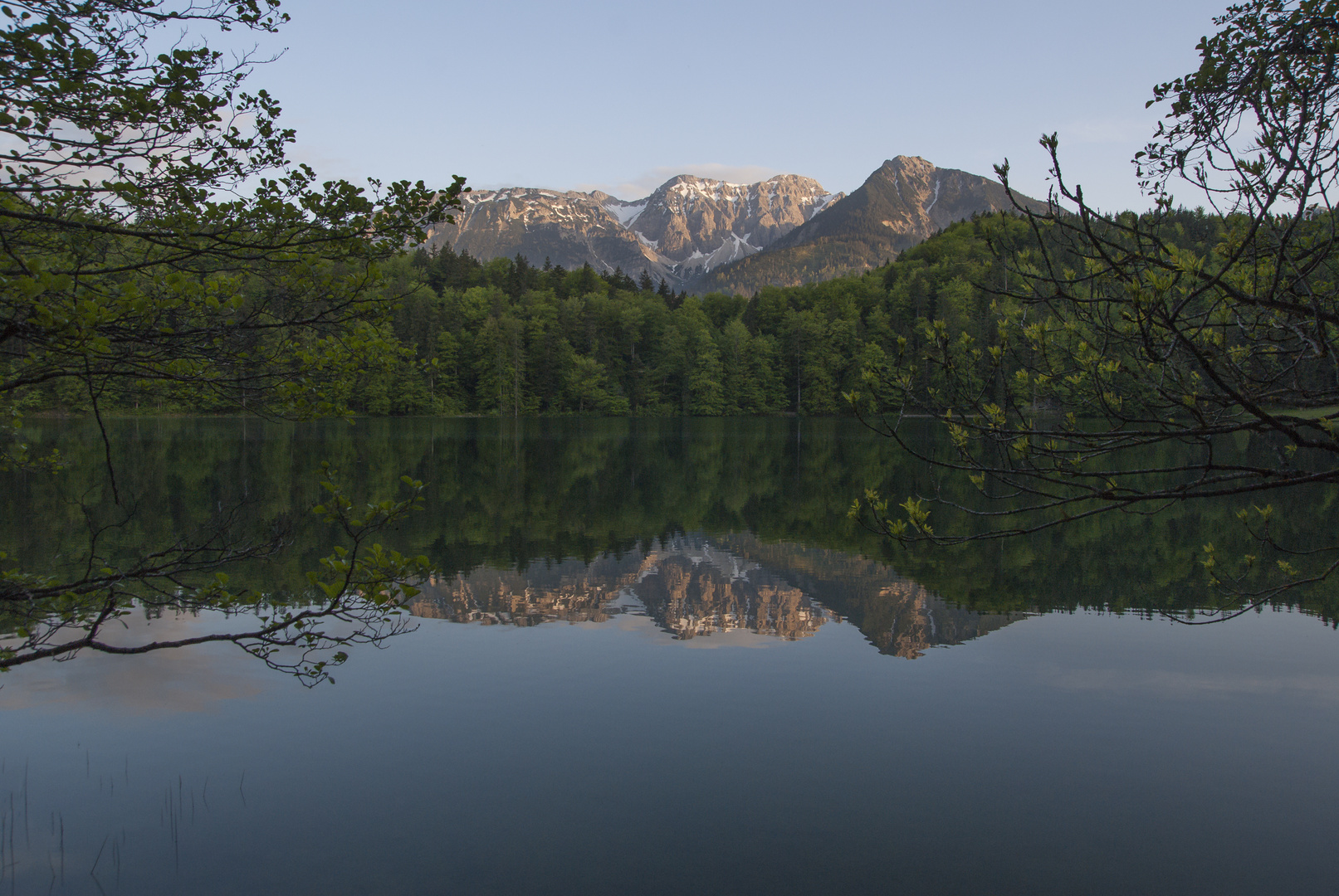 Spiegelung im Alatsee/Füssen