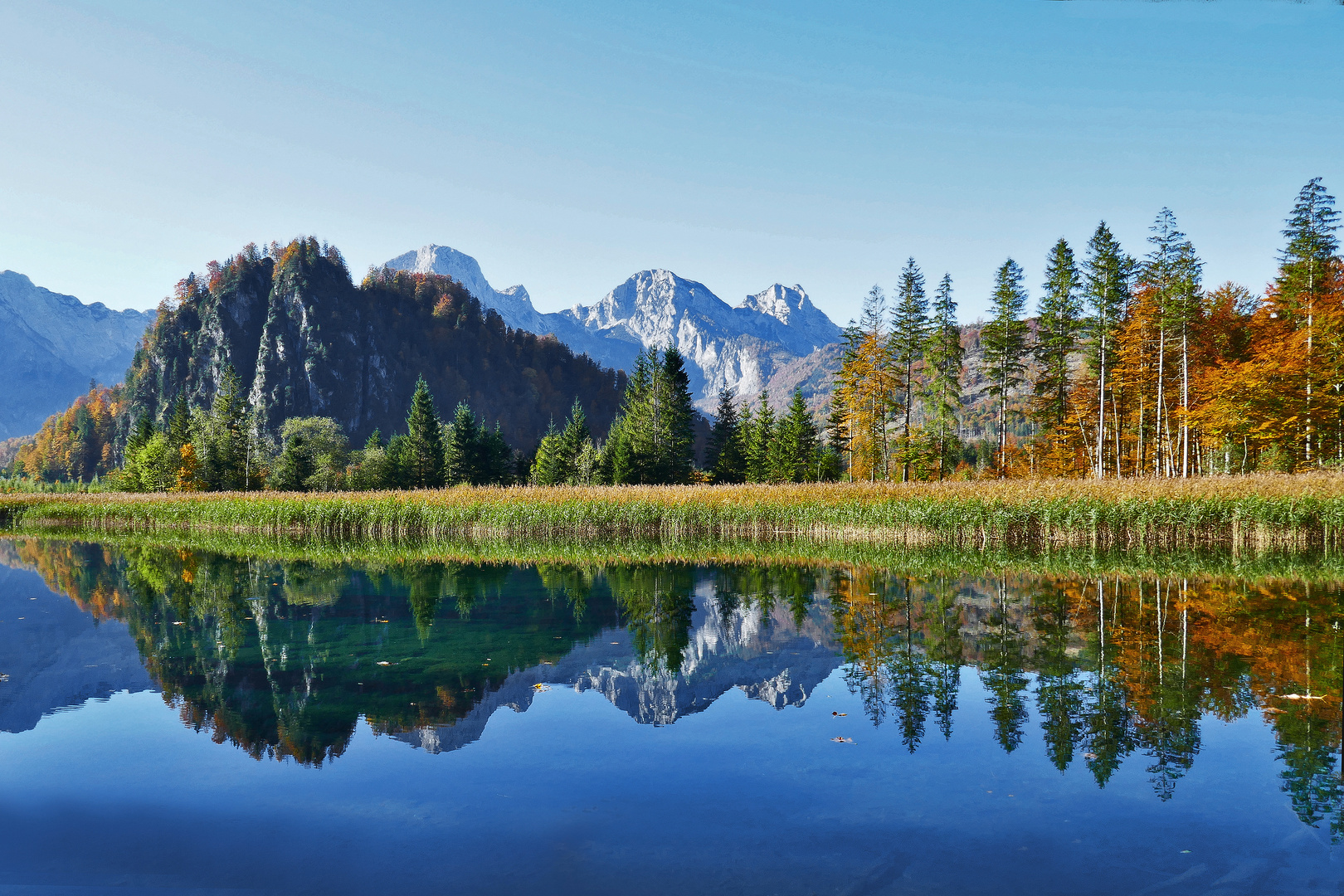 Spiegelung im Almsee