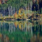 Spiegelung im Almsee