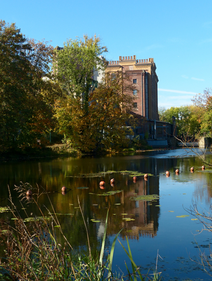 Spiegelung im alten Ruhrarm