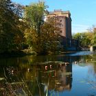 Spiegelung im alten Ruhrarm