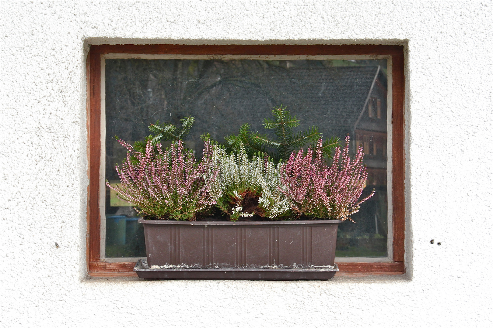 Spiegelung im alten Stallfenster . . .