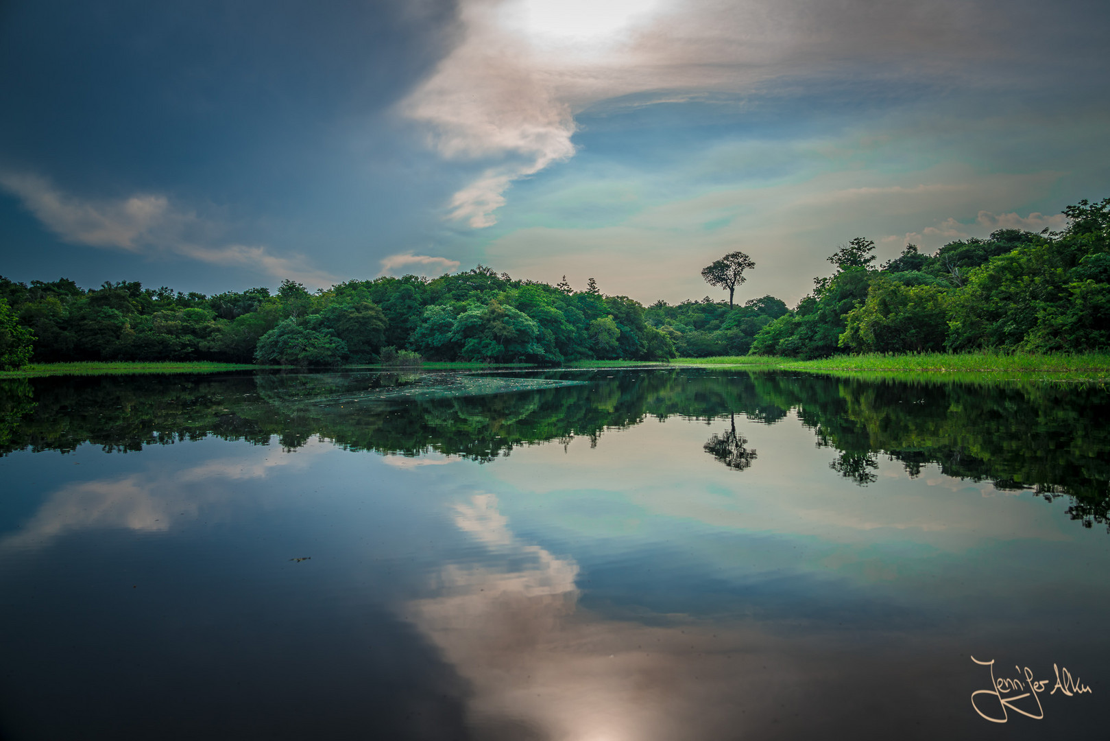 Spiegelung im Amazonas bei Manaus / Brasilien