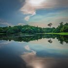 Spiegelung im Amazonas bei Manaus / Brasilien