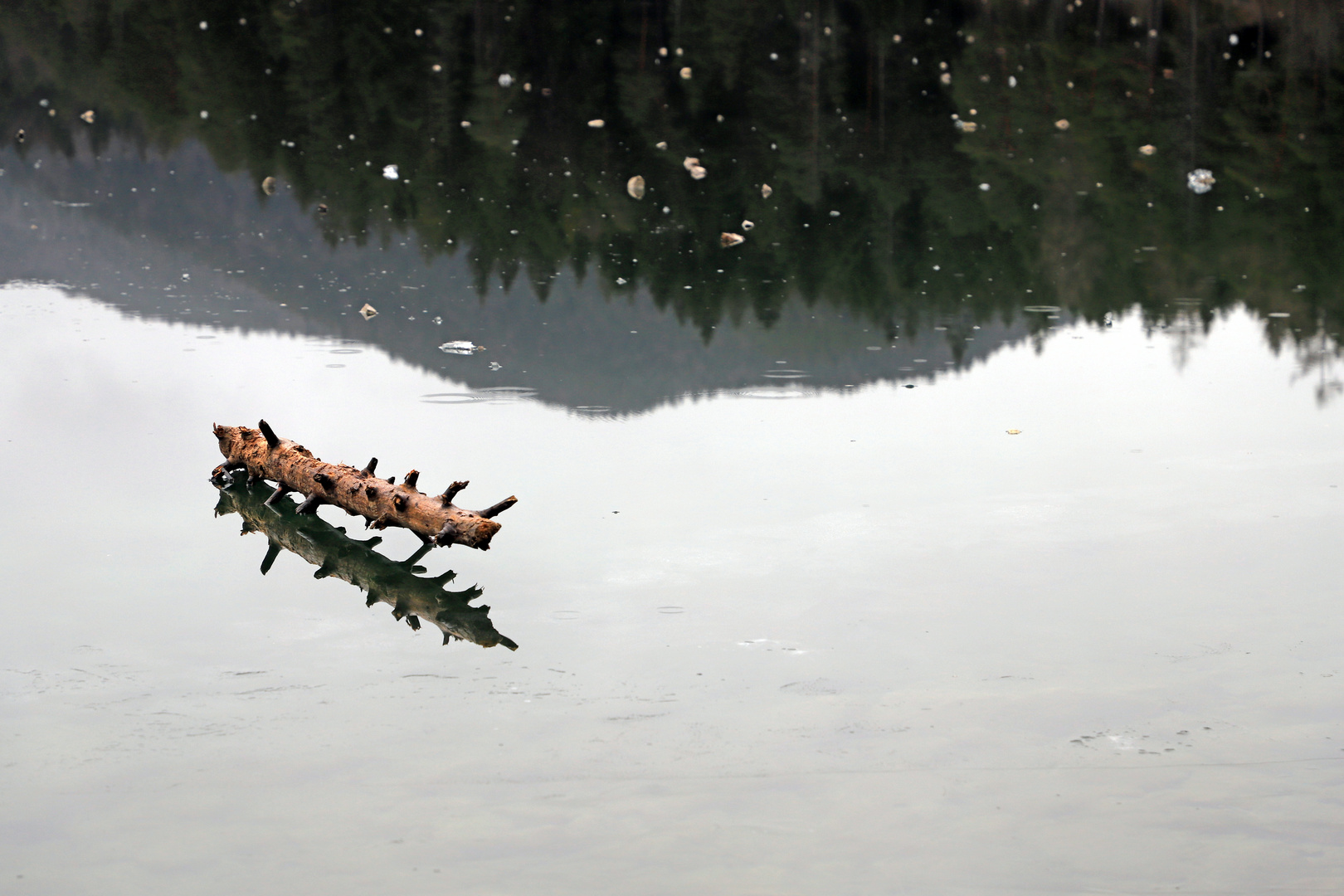 Spiegelung im angefrorenen Eibsee