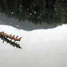 Spiegelung im angefrorenen Eibsee