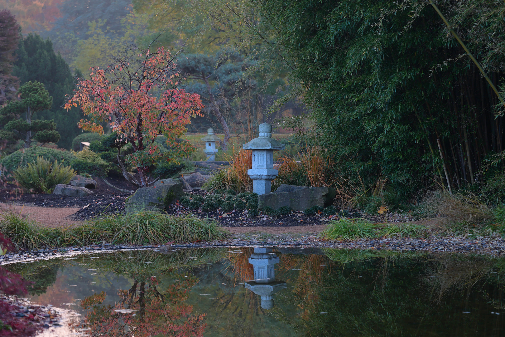 Spiegelung im  Asia-Garten