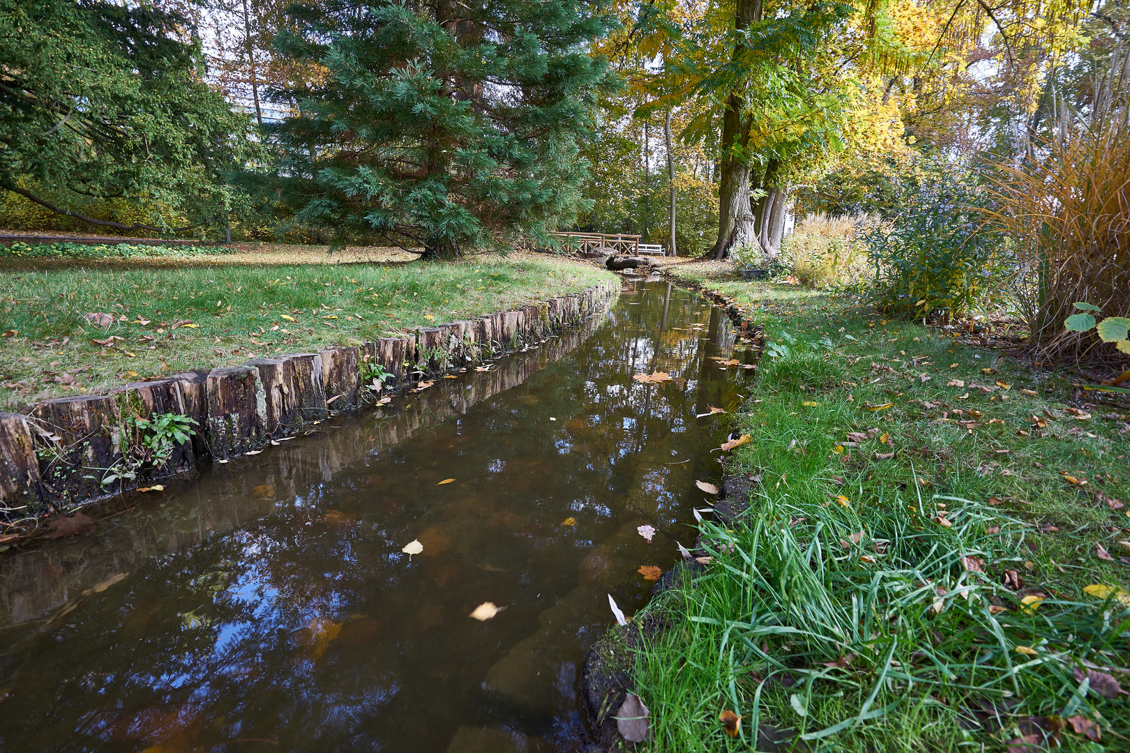 Spiegelung im Bach