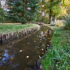 Spiegelung im Bach