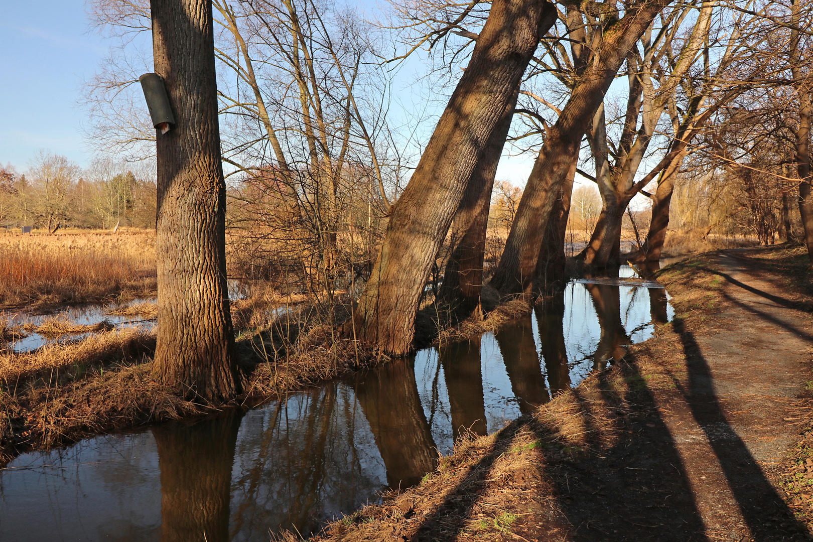 Spiegelung im Bach