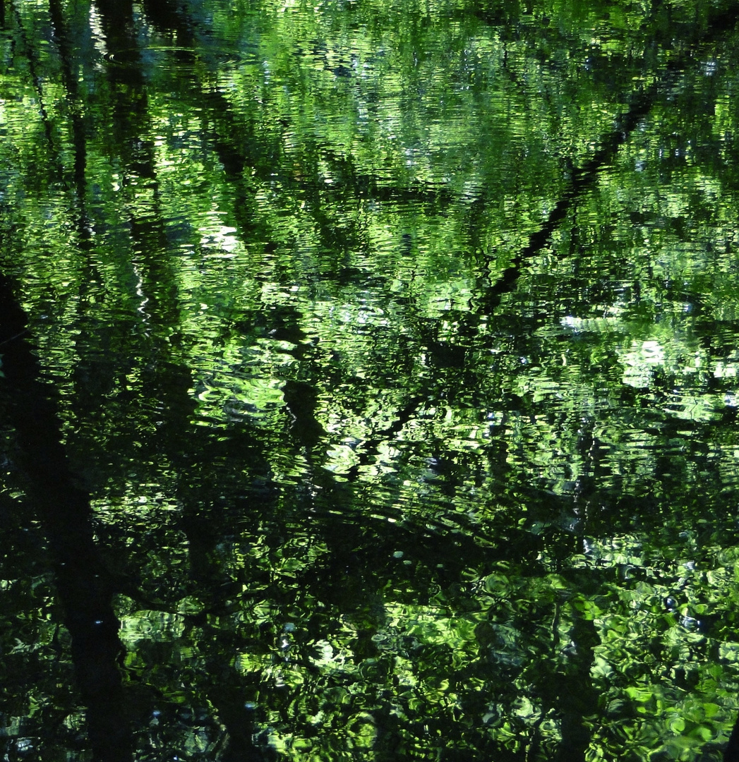 Spiegelung im Bach